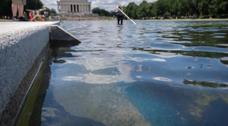 Reflecting Pool Repairs Will Begin ‘Immediately,’ Trump Says