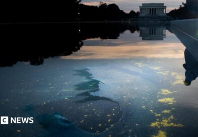 Chipped paint and algae are visible in the Lincoln Memorial Reflecting Pool at dusk.