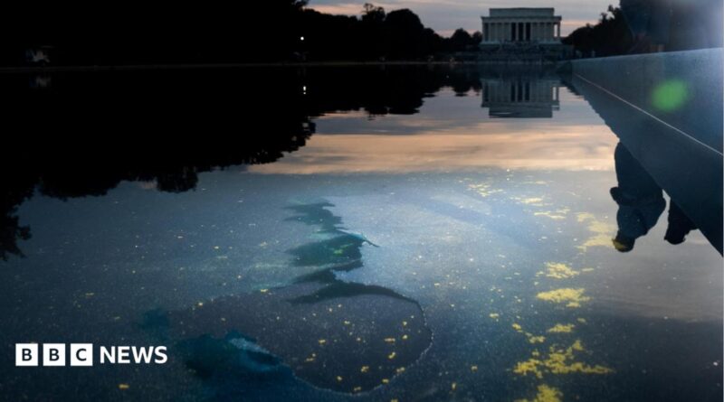 Chipped paint and algae are visible in the Lincoln Memorial Reflecting Pool at dusk.