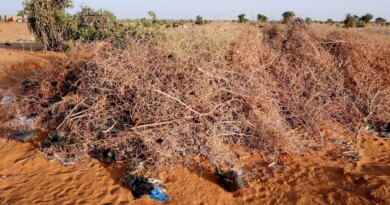 Rights group says drone strike kills 11 in central Sudan market