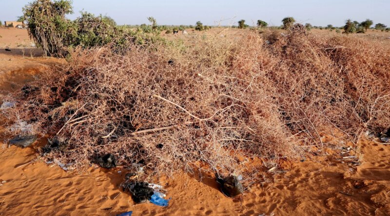 Rights group says drone strike kills 11 in central Sudan market