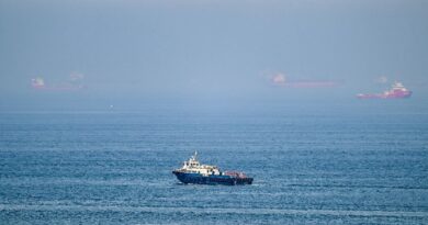 Ships crossing Hormuz use Oman passage despite Iran warnings