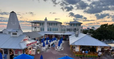 So many Florida locals recommended I go to 30A. After one trip, I agree it's one of the best destinations in the state.