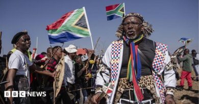 Hundreds of protesters marching outdoors, chanting and holding south african flags and signs