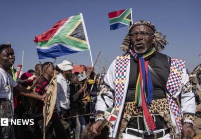 Hundreds of protesters marching outdoors, chanting and holding south african flags and signs
