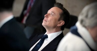 Tesla and SpaceX CEO Elon Musk attends the inauguration of President Donald Trump at the U.S. Capitol Rotunda on January 20, 2025 in Washington, DC.