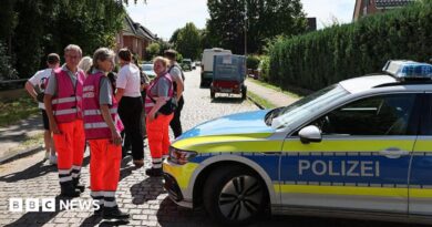 Police and members of a crisis intervention team speak to people near the scene where five people were killed in a shooting in Stade, northern Germany. Photo: 29 June 2026