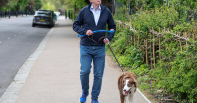 Starmer Braces for Release of More Files About Mandelson and Epstein