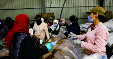 Syria has made no progress on Sweida reintegration plan, UN says