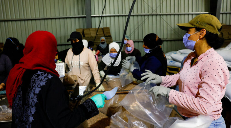 Syria has made no progress on Sweida reintegration plan, UN says