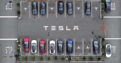 overhead of Tesla parking lot