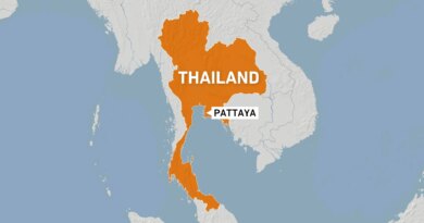 Thai police arrest Australian over killing of teenager found in suitcase
