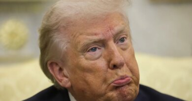 President Donald Trump