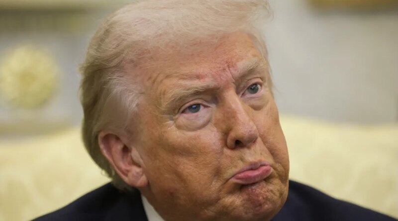 President Donald Trump