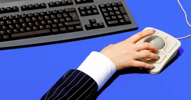 The beginner's guide to vibe coding