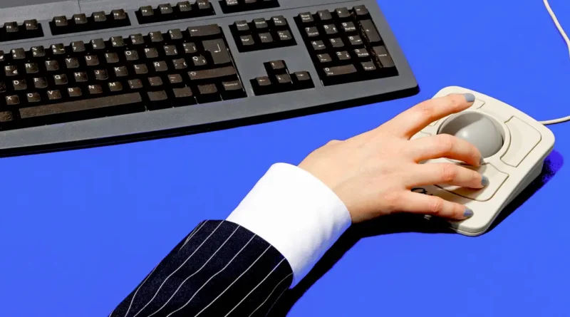 The beginner's guide to vibe coding