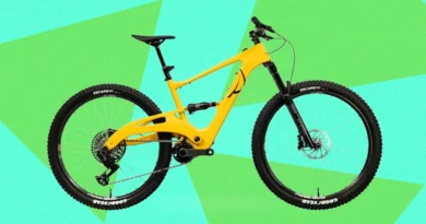 This Is the E-MTB Purists Have Been Waiting For