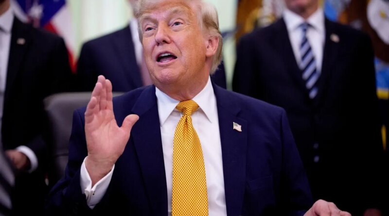 Trump Promises Video Will Offer Proof Vandals Attacked Reflecting Pool