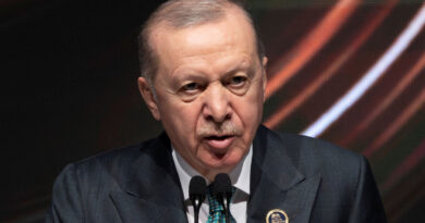 Turkey's Erdogan says NATO summit must emphasise unity and resilience