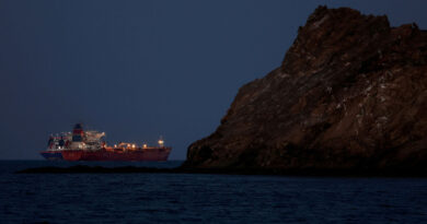UN agency working to restart Hormuz evacuations after ship attack