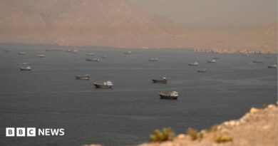 Vessels in the Strait of Hormuz, as seen from Oman on June 18, 2026.