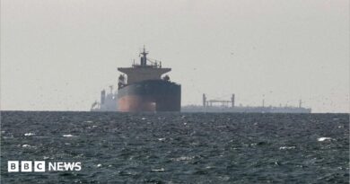 Cargo ships in the Gulf, near the Strait of Hormuz, on 11 March 2026