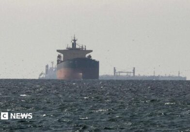 Cargo ships in the Gulf, near the Strait of Hormuz, on 11 March 2026