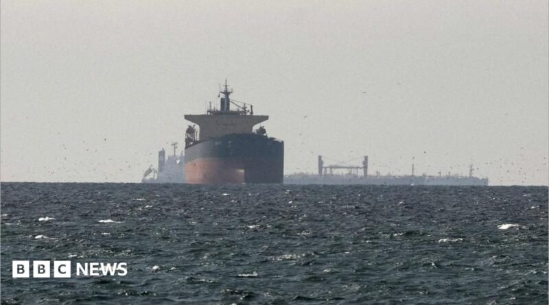 Cargo ships in the Gulf, near the Strait of Hormuz, on 11 March 2026