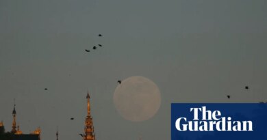 US diplomat found dead in Myanmar as police treat case as possible homicide