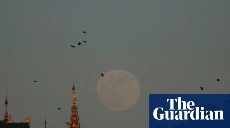 US diplomat found dead in Myanmar as police treat case as possible homicide