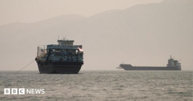 Vessels in the Strait of Hormuz as seen from Oman on 22 June, 2026.