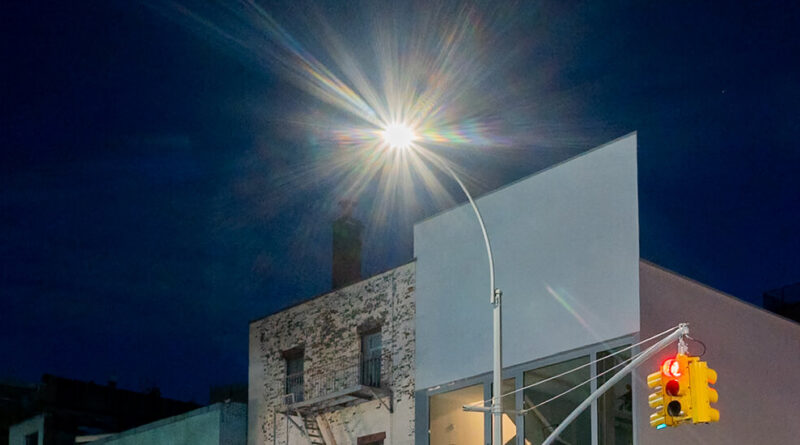 Urban Light Pollution Might Be Worsening Allergies
