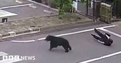 Watch: Man attacked by bear at steel works in Japan