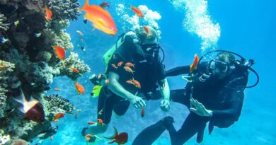 Where to Snorkel Along the Red Sea in Egypt’s Underwater Eden