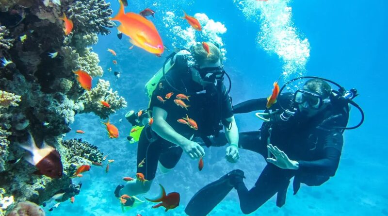 Where to Snorkel Along the Red Sea in Egypt’s Underwater Eden