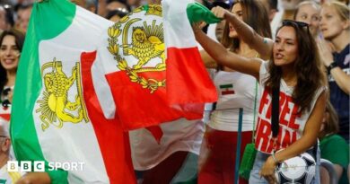 Iran fans at the World Cup match against New Zealand at Los Angeles Stadium