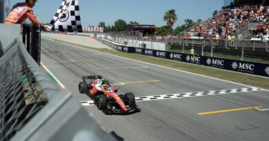 Lewis Hamilton in action.