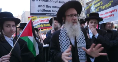 ‘Not in my name’: The Jewish diaspora fighting the consensus on Israel