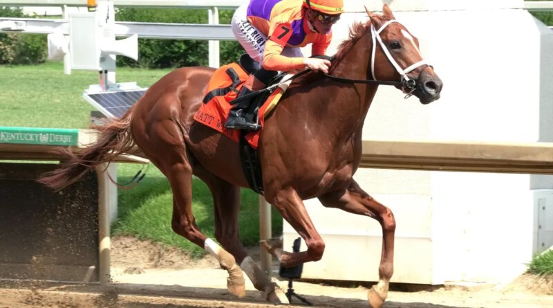 $1 Million Haskell Serves As Stepping Stone To Travers, Breeders’ Cup