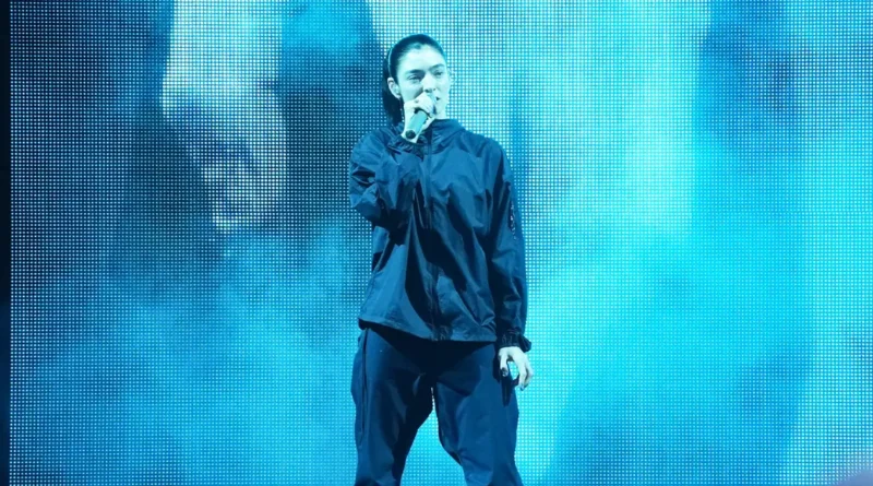 AI glasses have a new hater: Lorde