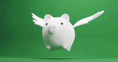 white piggy bank with wings on green background