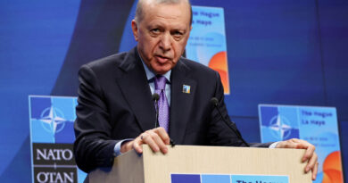 Analysis-NATO allies have grown silent on rights concerns in Turkey