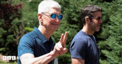 Apple CEO Tim Cook walking outside, throwing up 'peace' fingers, wearing a blue polo shirt and reflective sunglasses. John Ternus, who will replace Cook as CEO later this year, walks beside him, wearing a blue t-shirt and sunglasses.