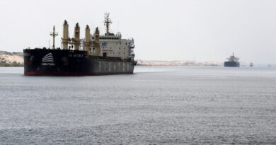 Attack on Egyptian Port Shows Suez Canal’s Vulnerability
