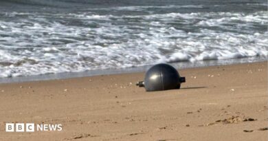 One of the six mysterious large silver spheres washed up on Forrest Beach in Queensland.