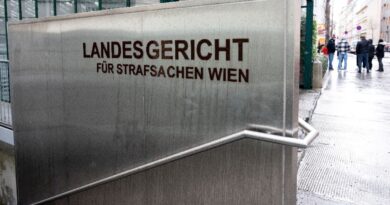 Austrian court sentences Syrian torturers to 8 years in jail