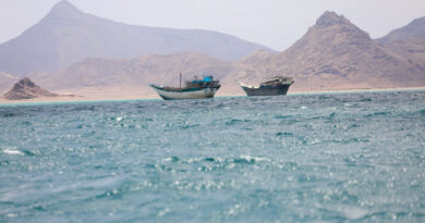 Bab el-Mandeb shipping rises amid hopes of resolution in US-Iran war