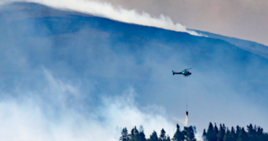Wild fire 