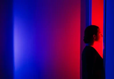 Consultants have found an unlikely new career path: policing AI
