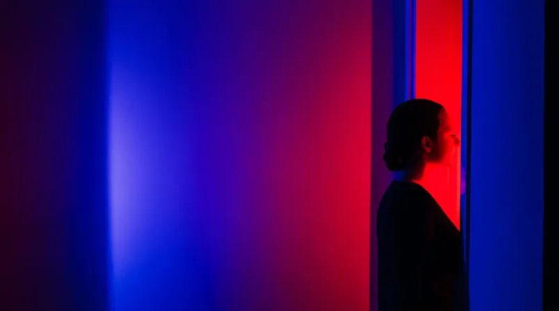 Consultants have found an unlikely new career path: policing AI